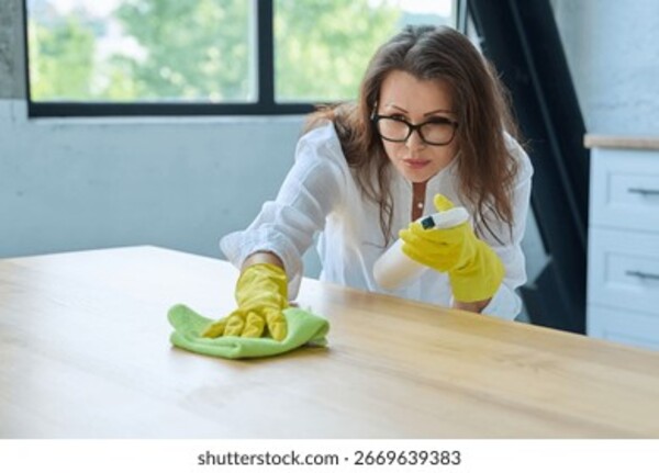 <b>工程开荒清洁服务-003</b>